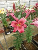 [4505 PO93 Digame No01.JPG]